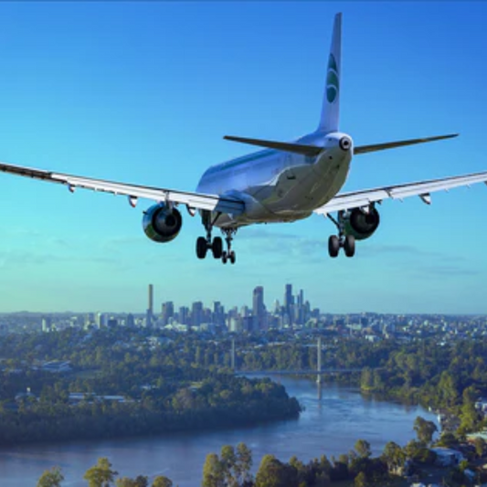 Pursesuitz is great for traveling (plane on image)