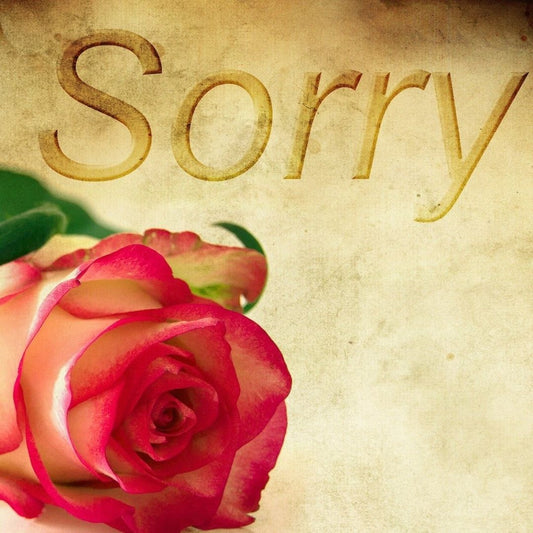 No Apologies